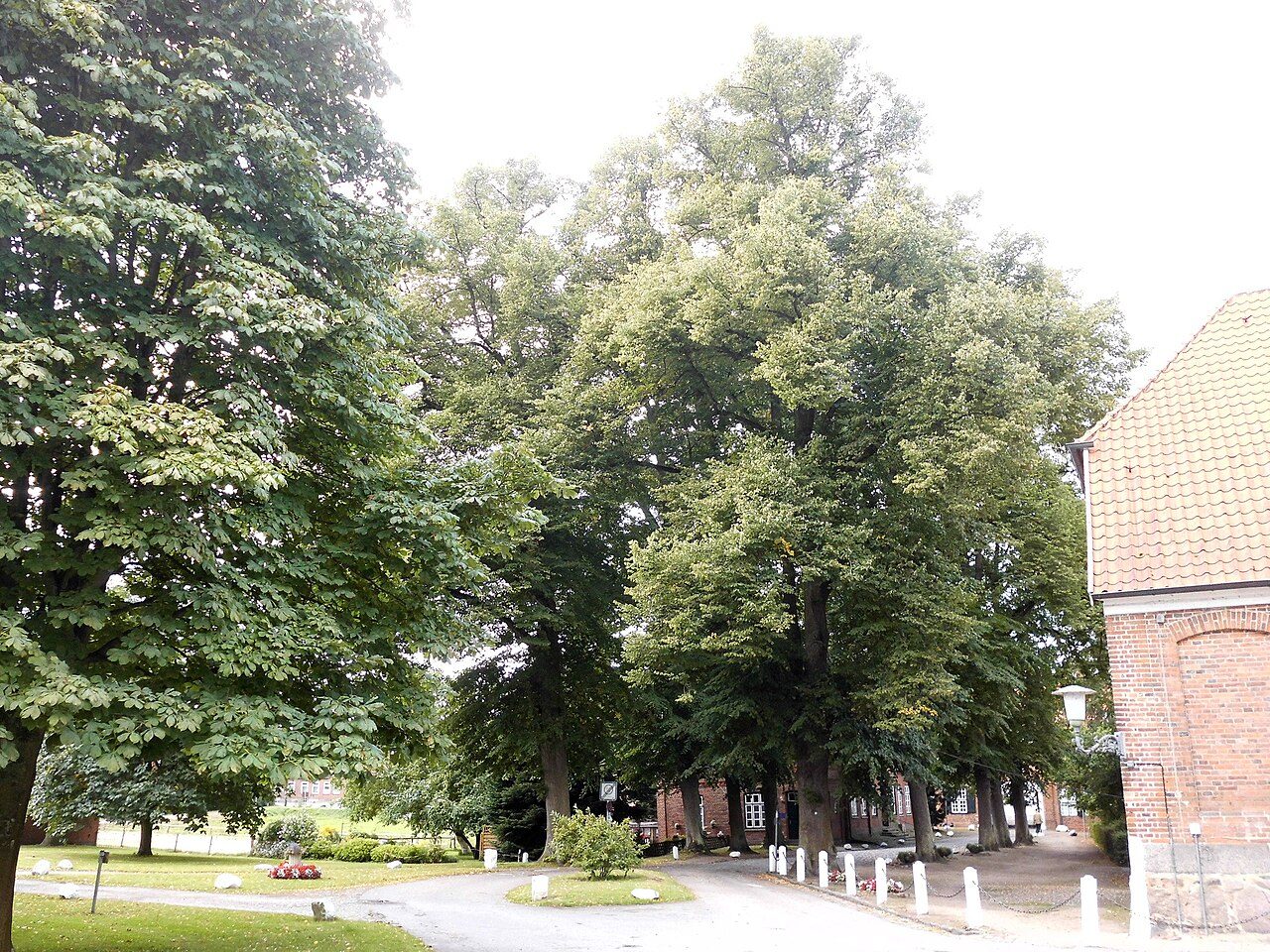 Kloster Preetz: Zufahrtsallee (Linden)