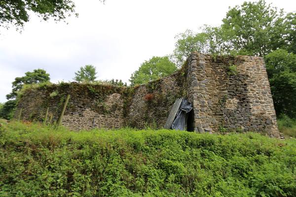 Klosteruine Seligenstatt
