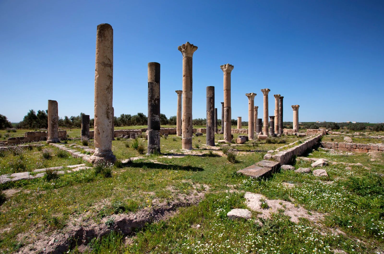 Ancient City Abila
