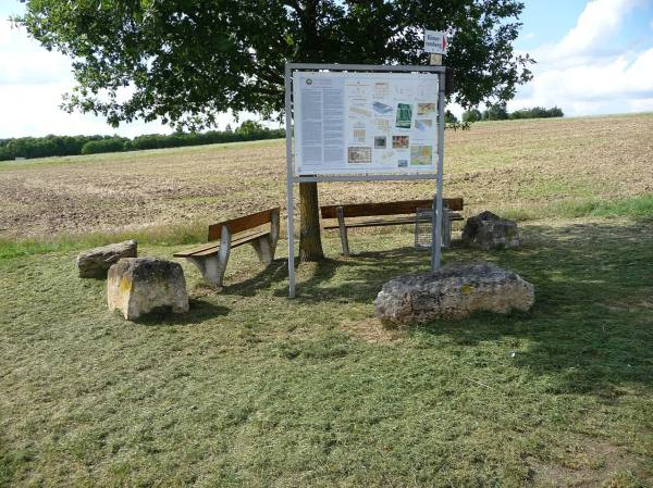 Roman fort Marktbreit