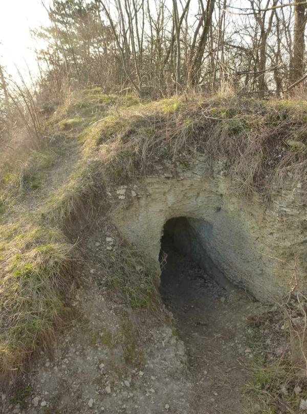 Burgrest Greifenberg