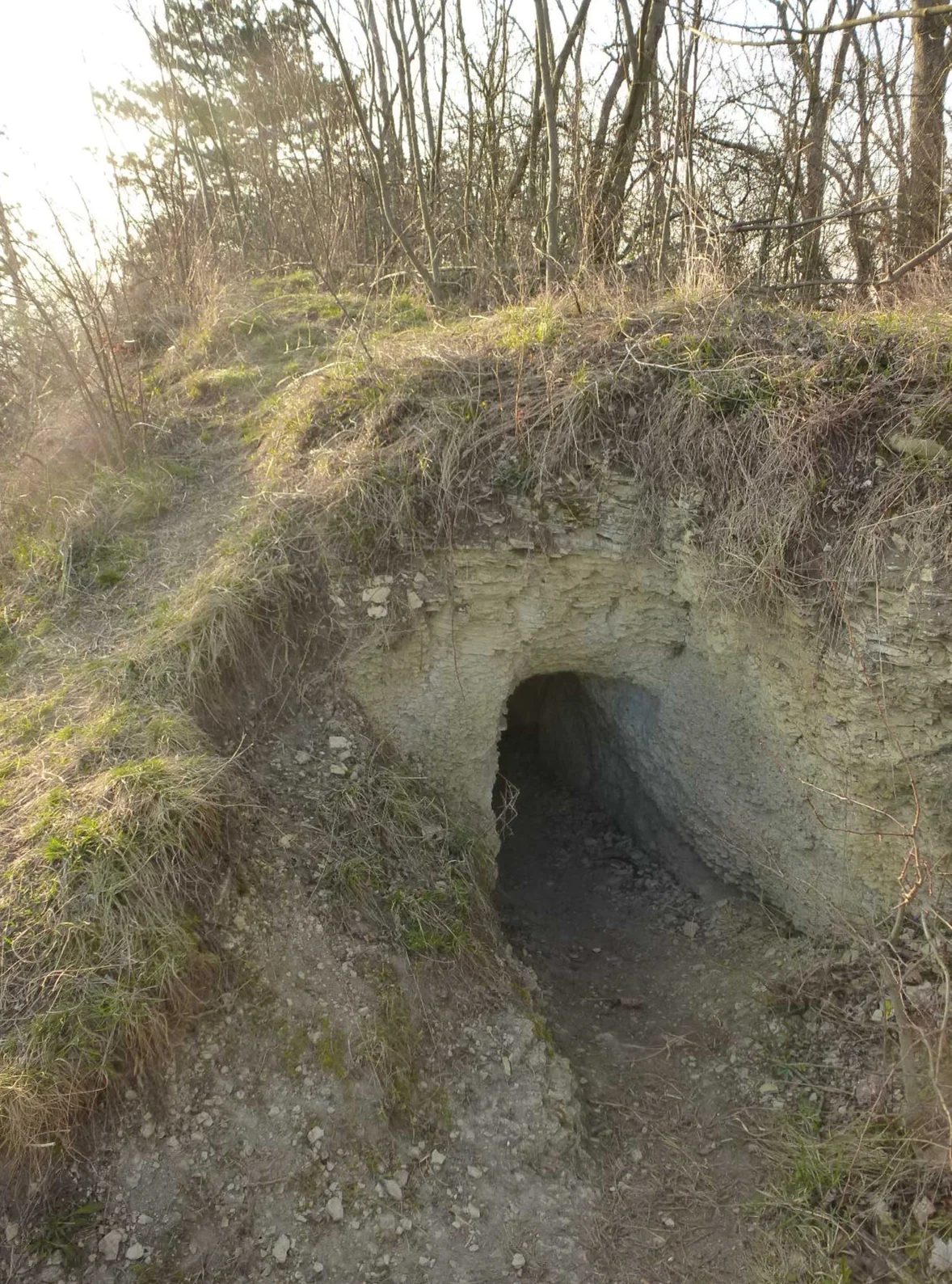 Burgrest Greifenberg