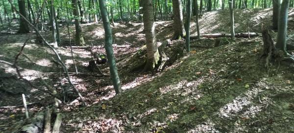 Römisches Kleinkastell Am Forsthofweg