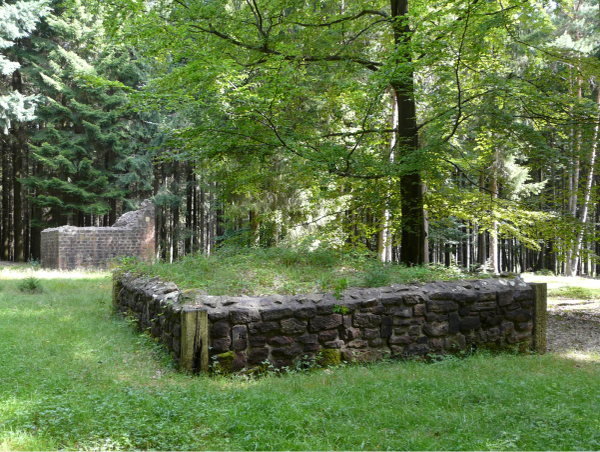 Römischer Limes-Wachturm (WP 10/30)