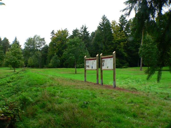 Römisches Kastell Würzberg
