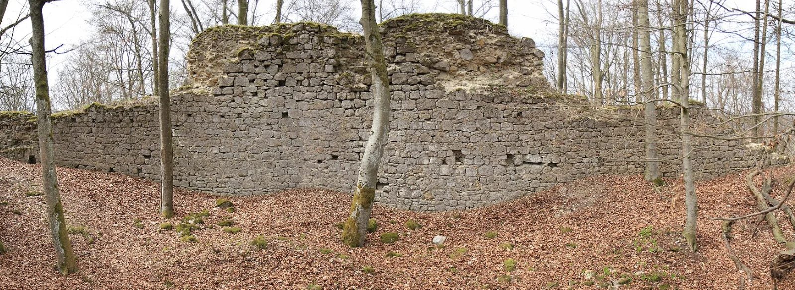 Burgruine Adelburg