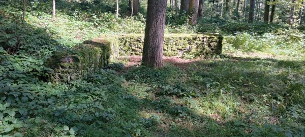 Römische Villa Rustica Burrenwald