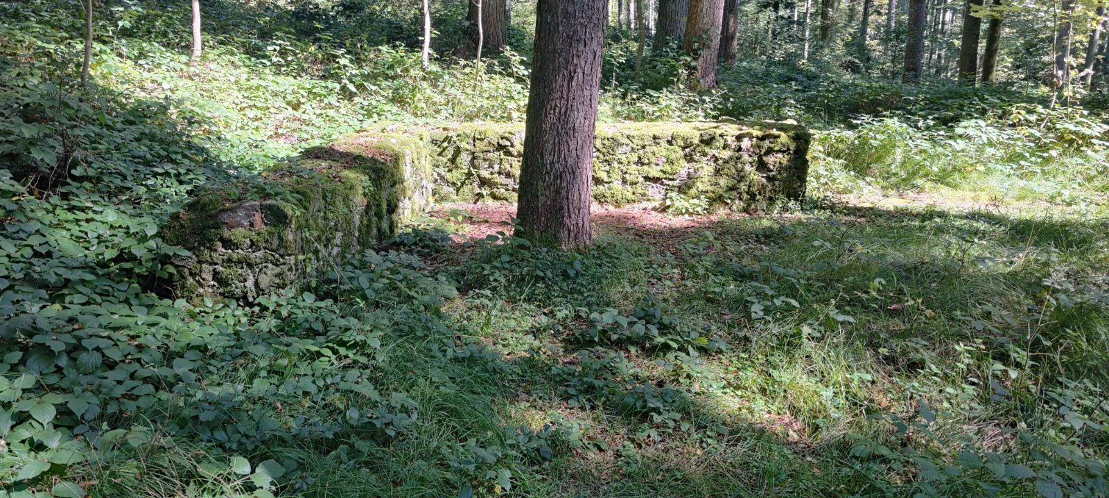 Römische Villa Rustica Burrenwald