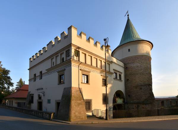 Barian-Rokicki Castle