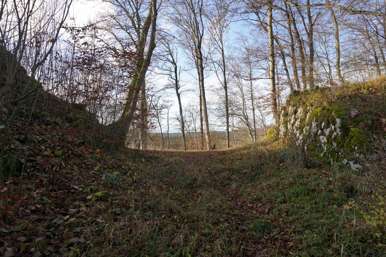 Vestiges du château de Schatzberg