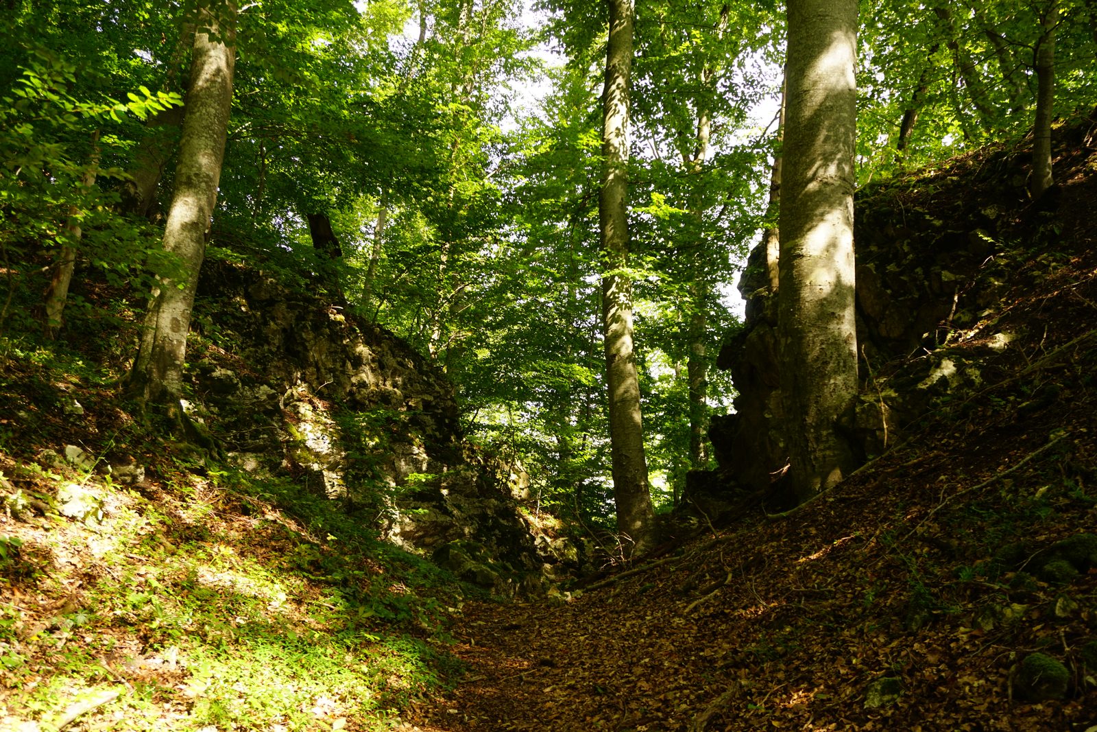 Burgrest Sirgenstein