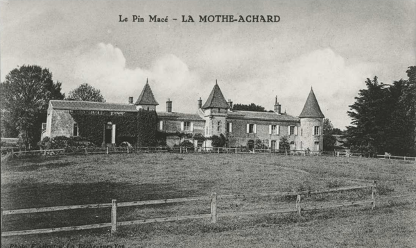Château du Pin Macé