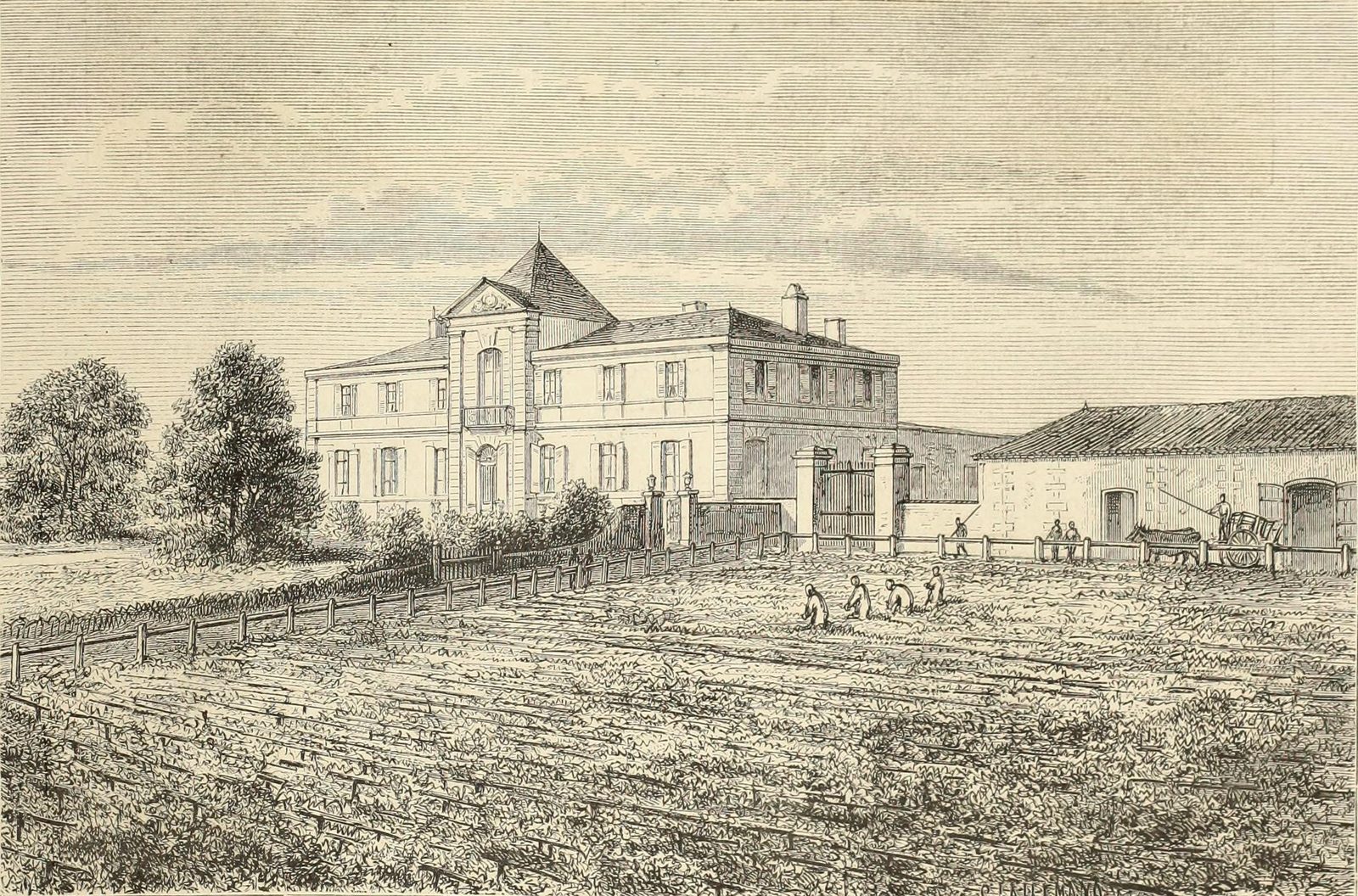 Château du Tertre