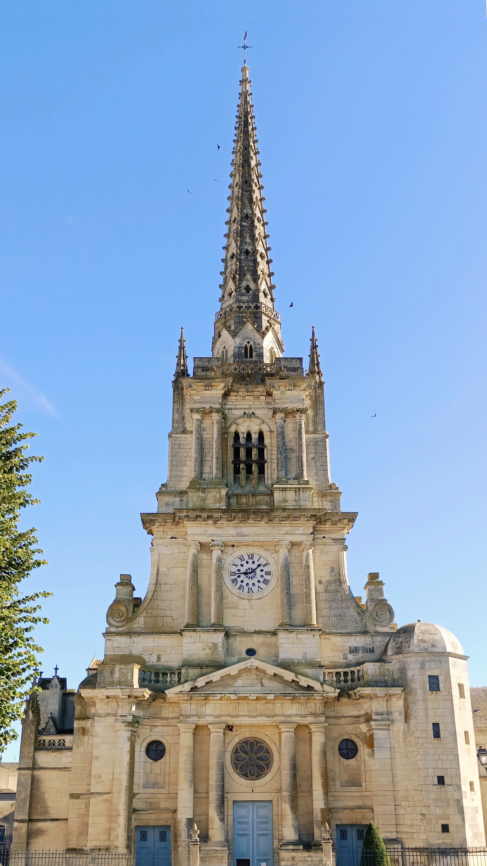 Luçon Cathedral