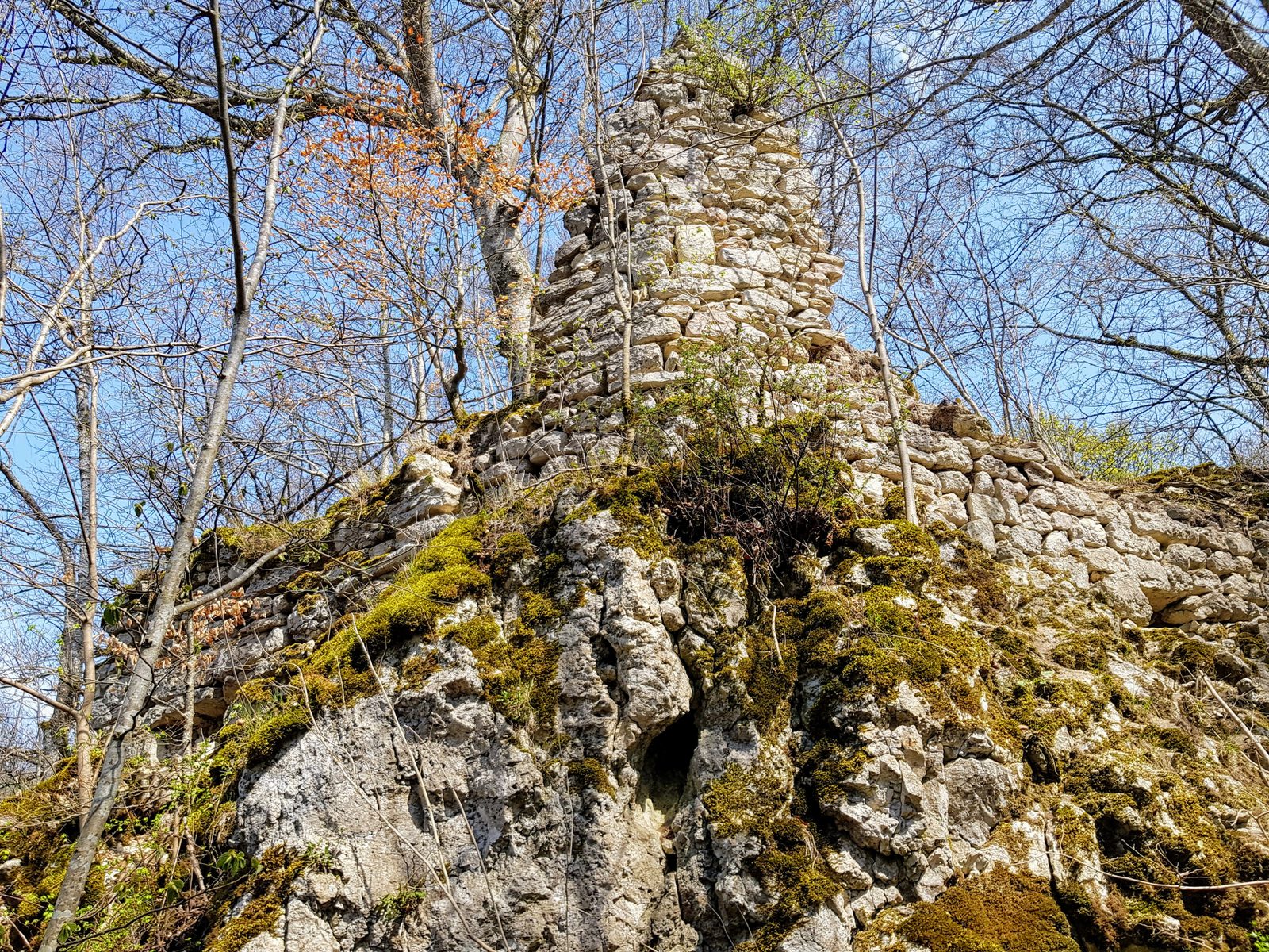 Monsberg Castle
