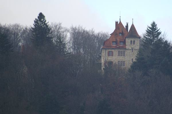 Neusteußlingen Castle
