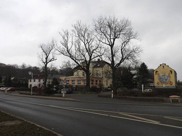 Schloss Heinrichsruh