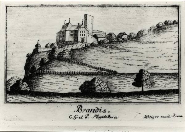 Brandis Castle (Ruin) (Lützelflüh)