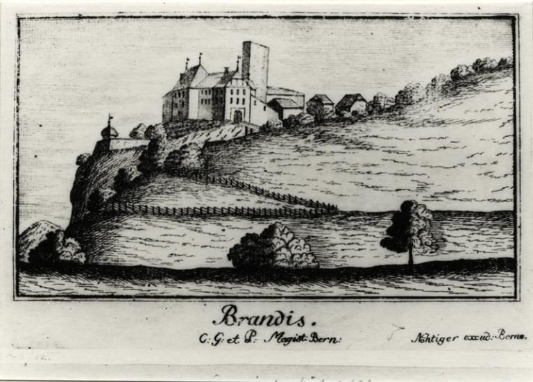 Brandis Castle (Ruin) (Lützelflüh)