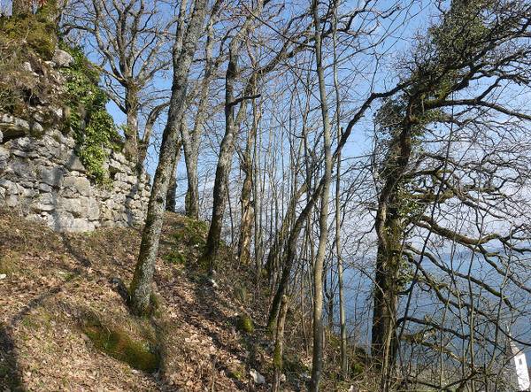Festi Castle (Ruin) (Ligerz)