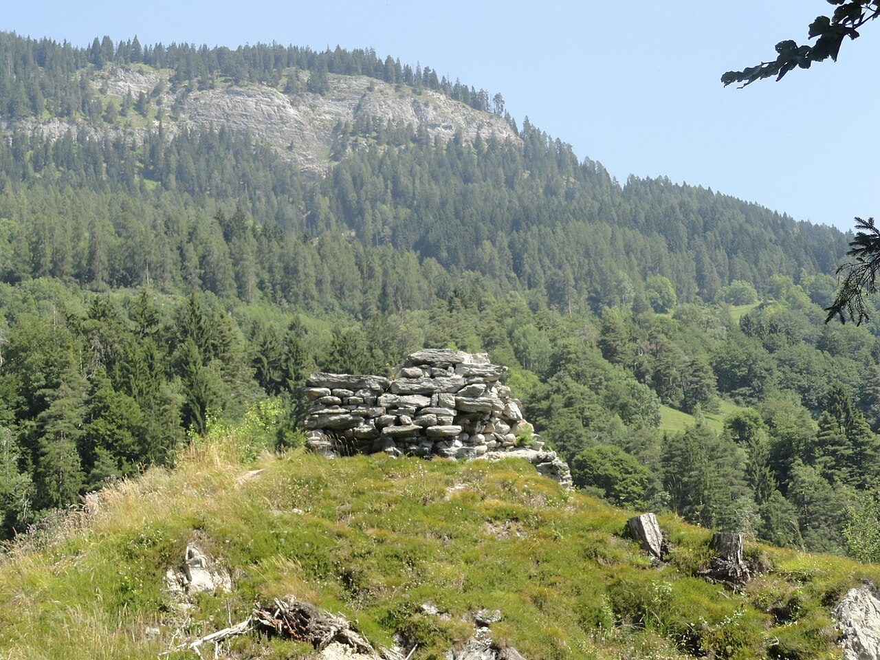 Wackenau Castle (Ruin) (Bonaduz)
