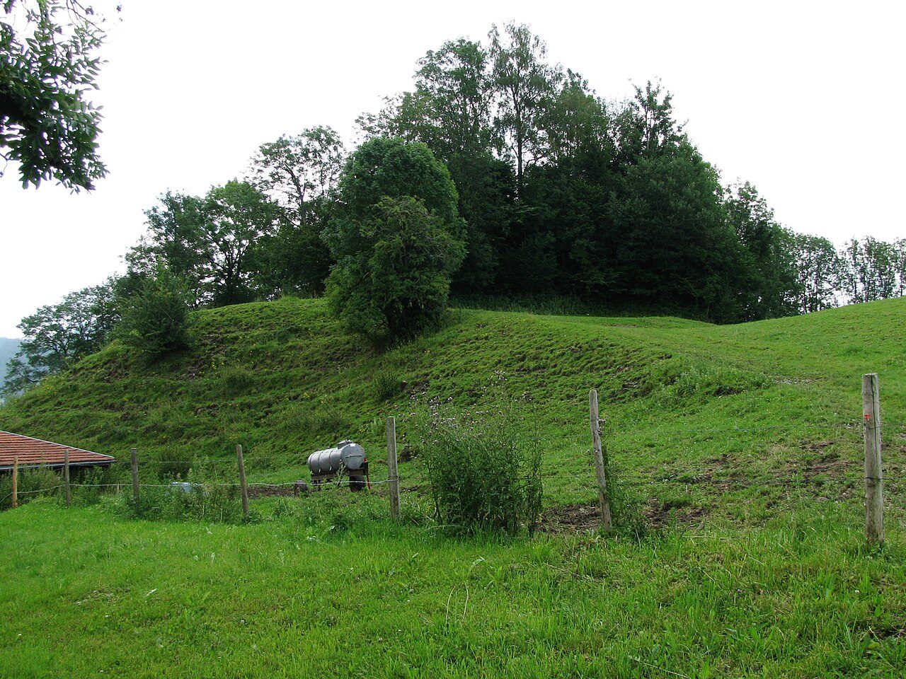 Ruine Ringenberg