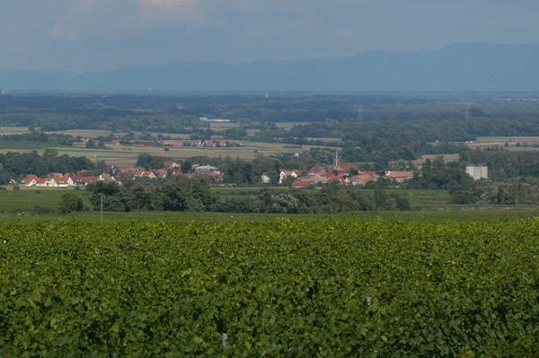 Château d'Ittenwiller