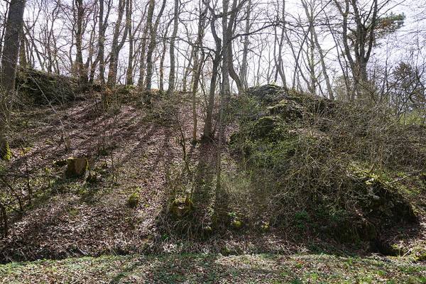 Hochdorf Castle