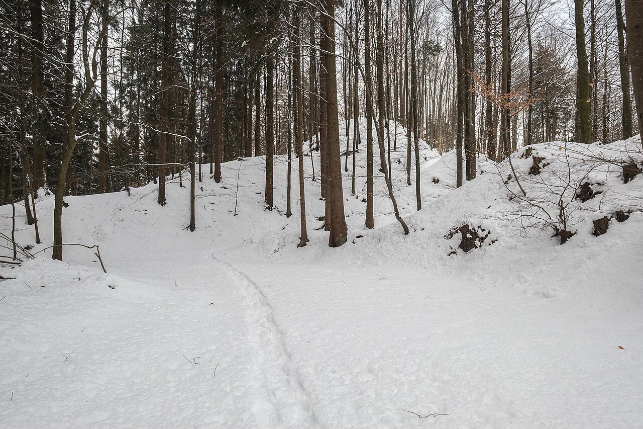 Alt-Heiligenberg Castle