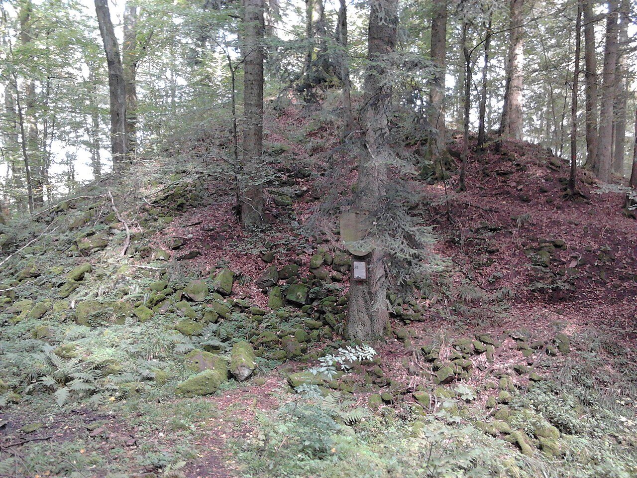 Burgrest Straubenhardt