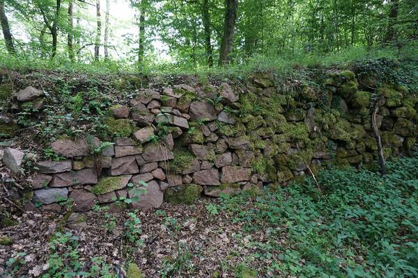 Neu-Waldeck Castle