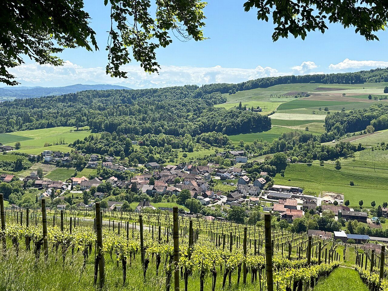 Ruchenstein Castle