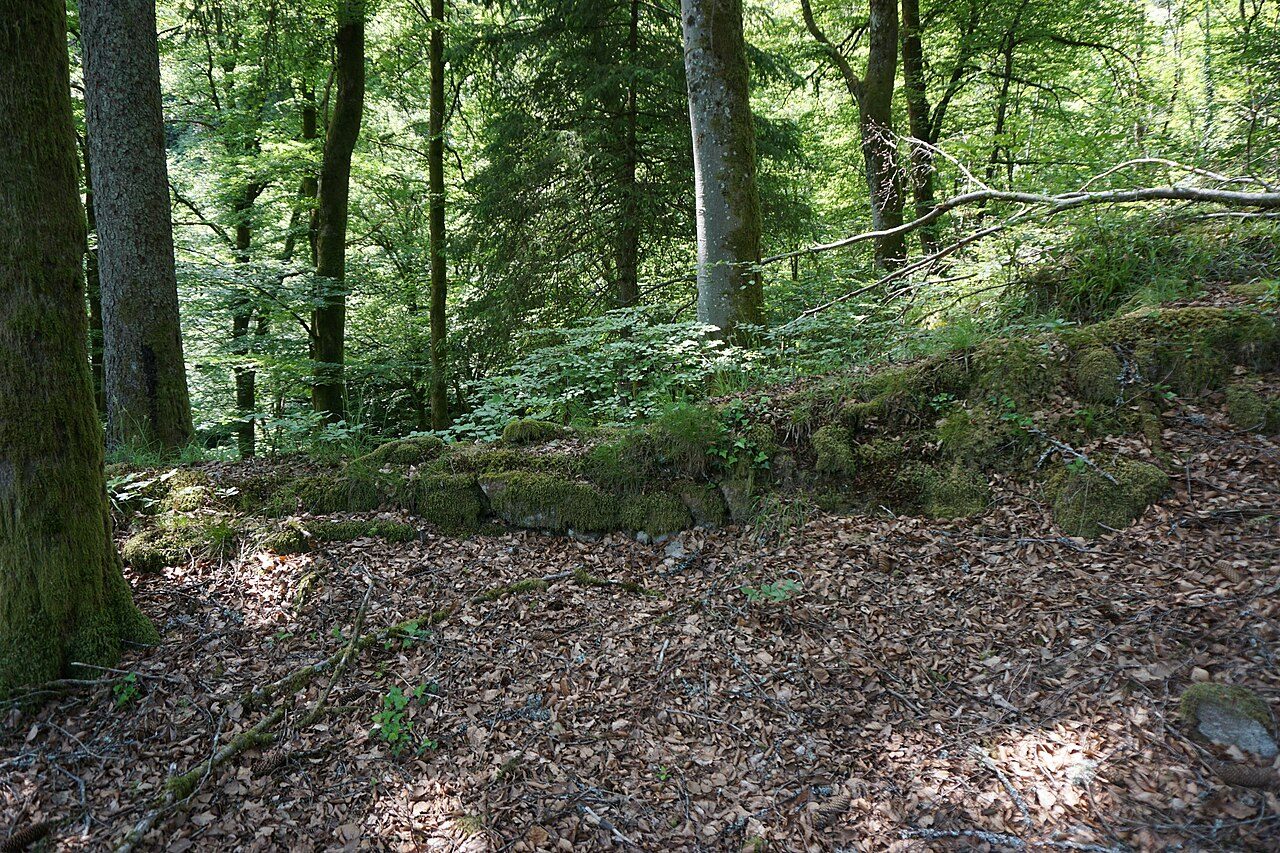Henschenberg Castle