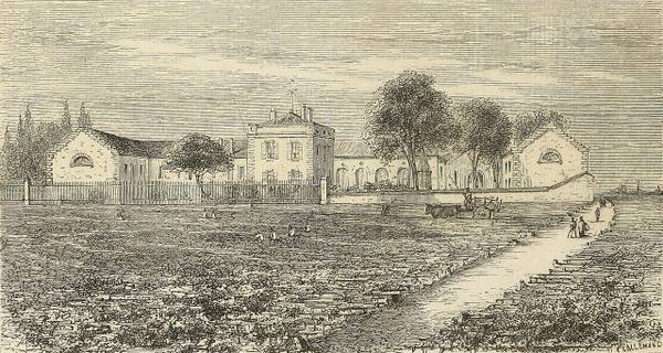 Château Lynch-Bages
