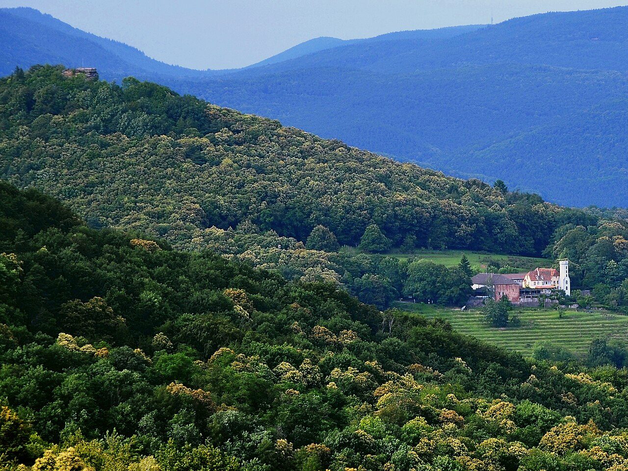 Burgruine Neukastel