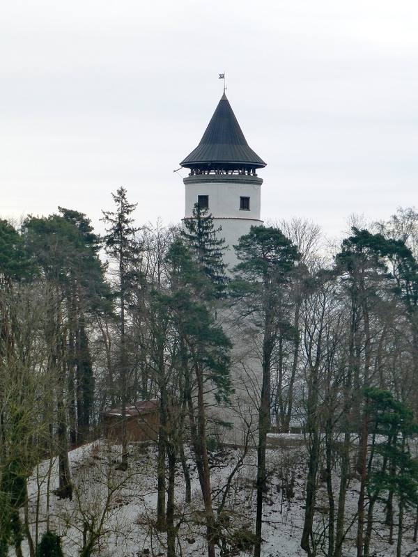 Burgruine Hohenbodman