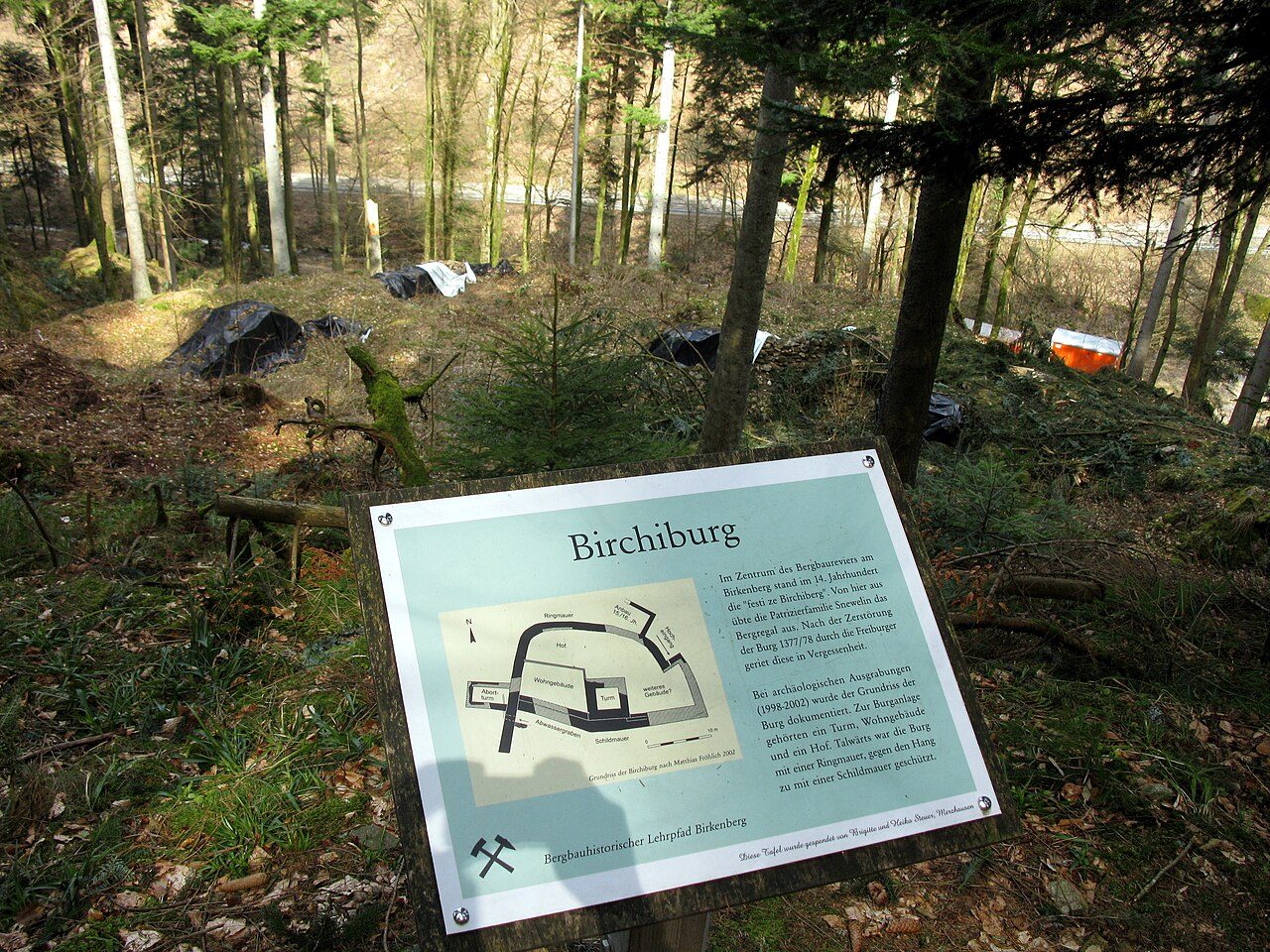Birchiburg Castle