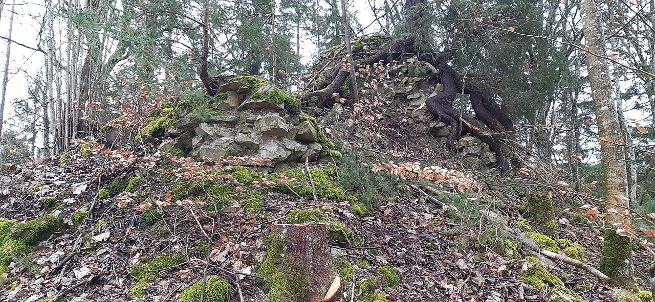 Burgruine Wasserburg