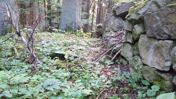 Rotenzimmern Castle (Ruin)