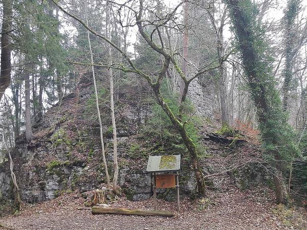 Ruine Wildenstein