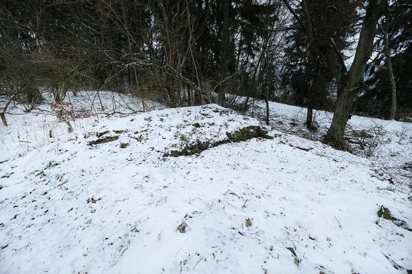 Warenburg Castle (Ruin)
