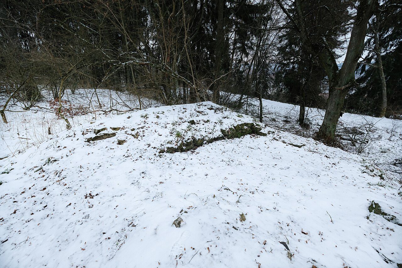 Warenburg Castle (Ruin)