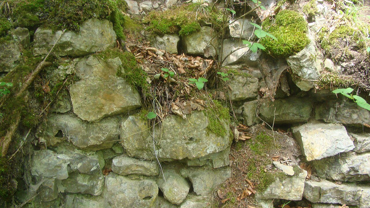 Ehingerburg Castle (Ruin)