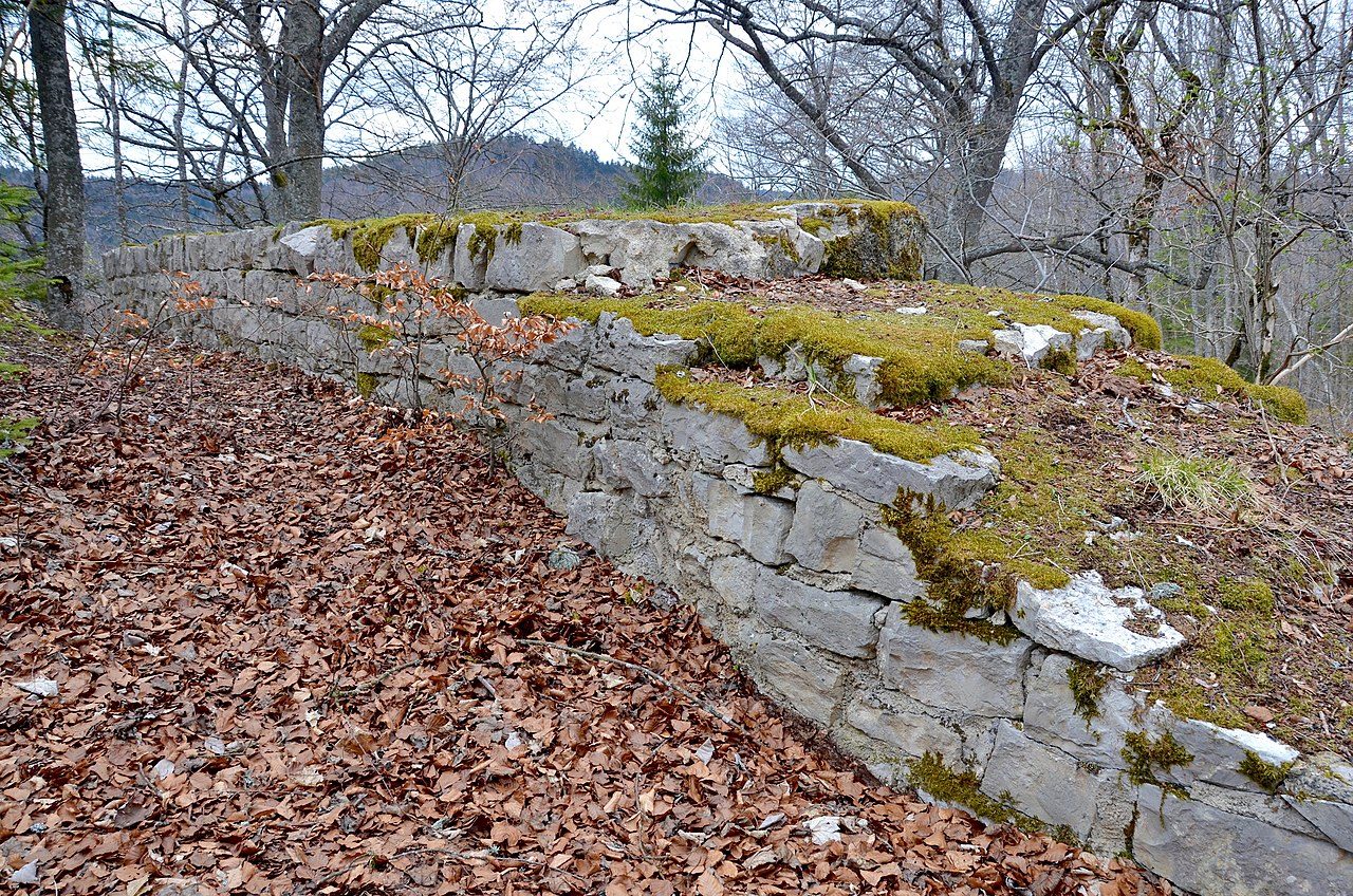 Ruine Wehingen