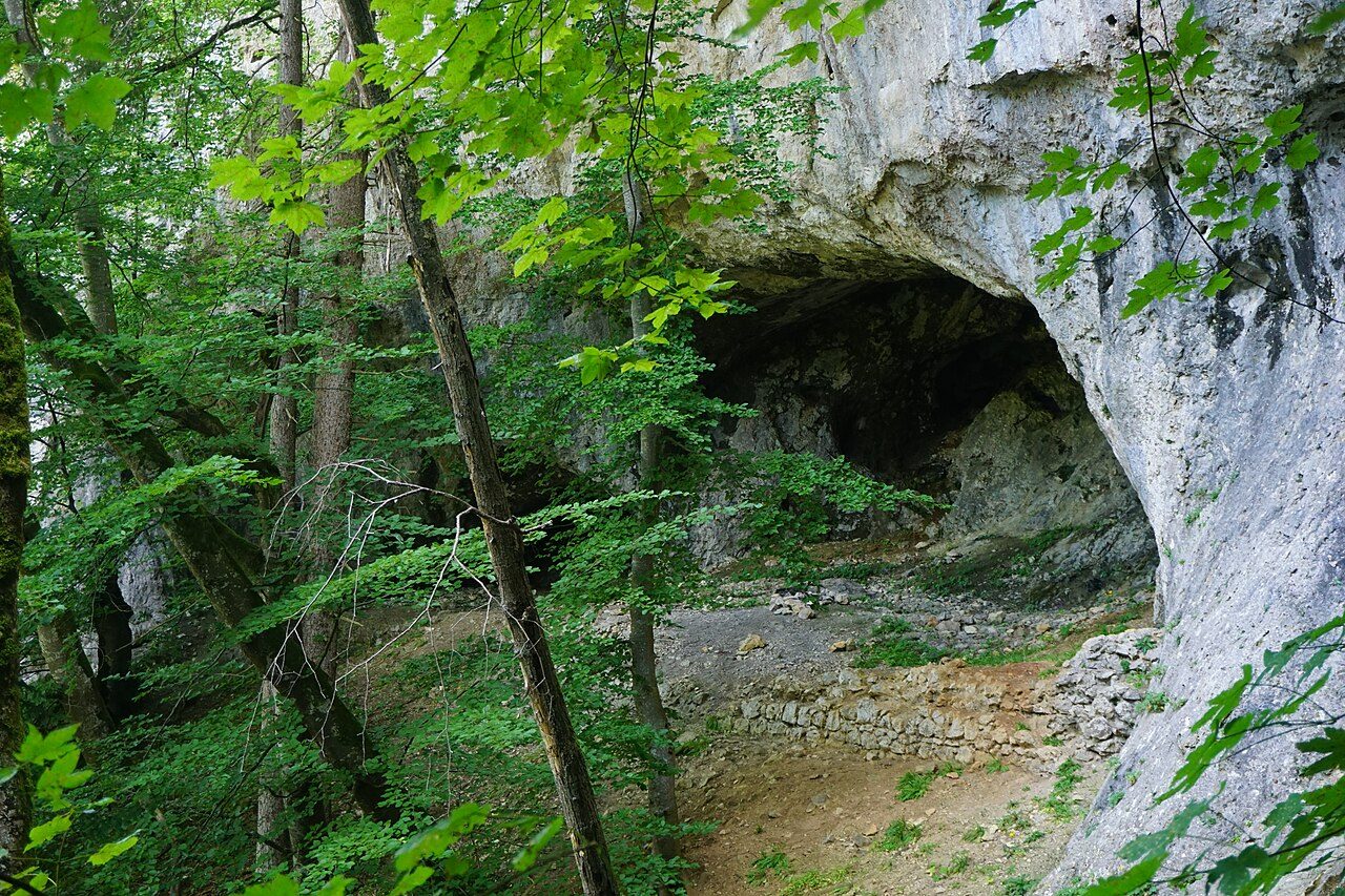 Ziegelhöhlenburg Castle (Ruin)