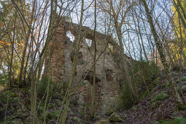Neu-Tannegg Castle