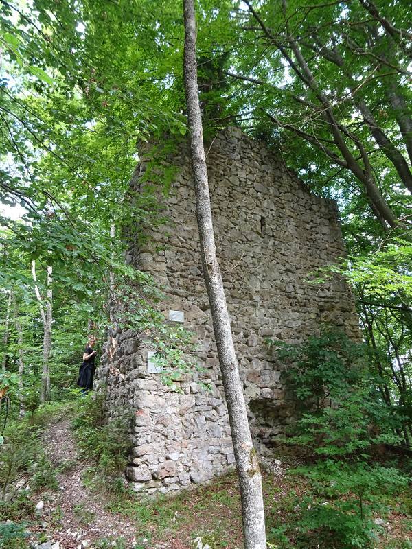 Hasenfratz Castle (Ruin)