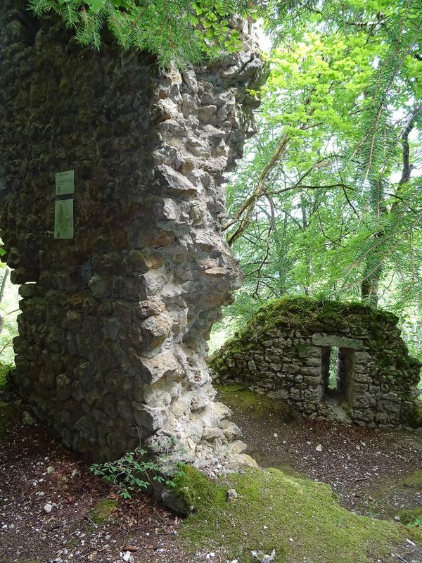 Leckstein Castle (Ruin)