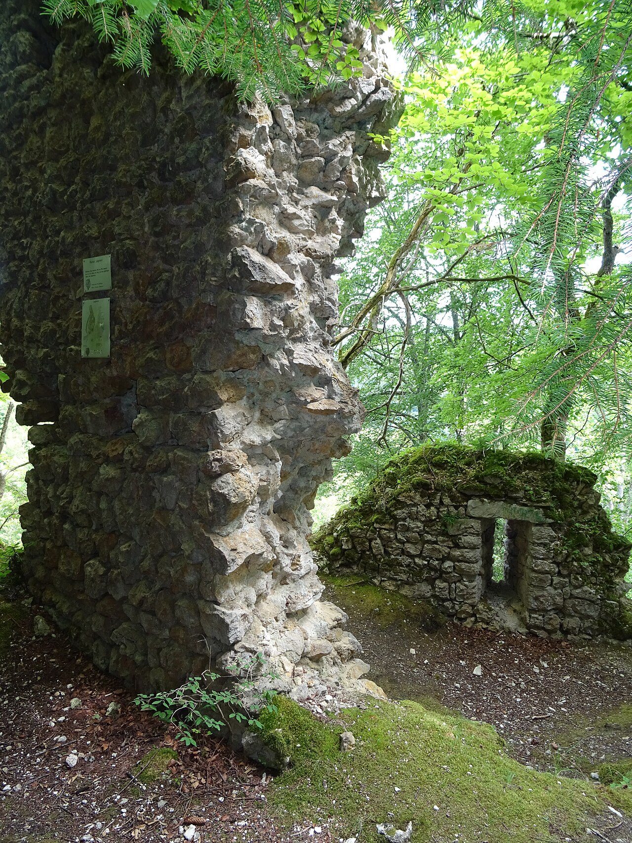 Leckstein Castle (Ruin)
