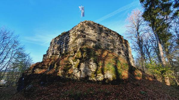 Salmendingen Castle (Ruin)